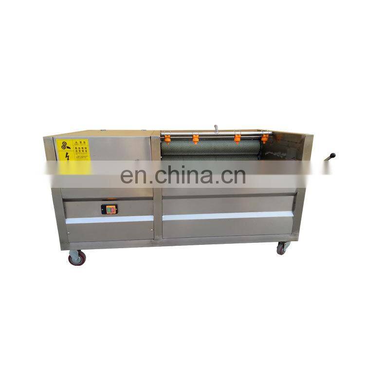 Taizy Potato Ginger Carrot Peanut Orange Taro Washing Machine