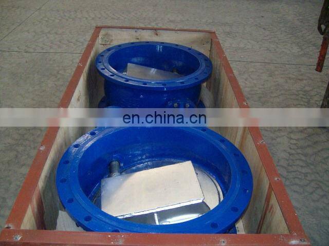 big size tilting check valve