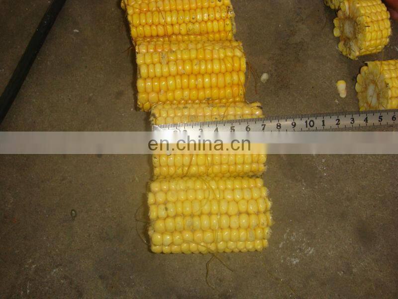 Automatic Sweet Fresh Frozen Corn Cob Cutting Machine