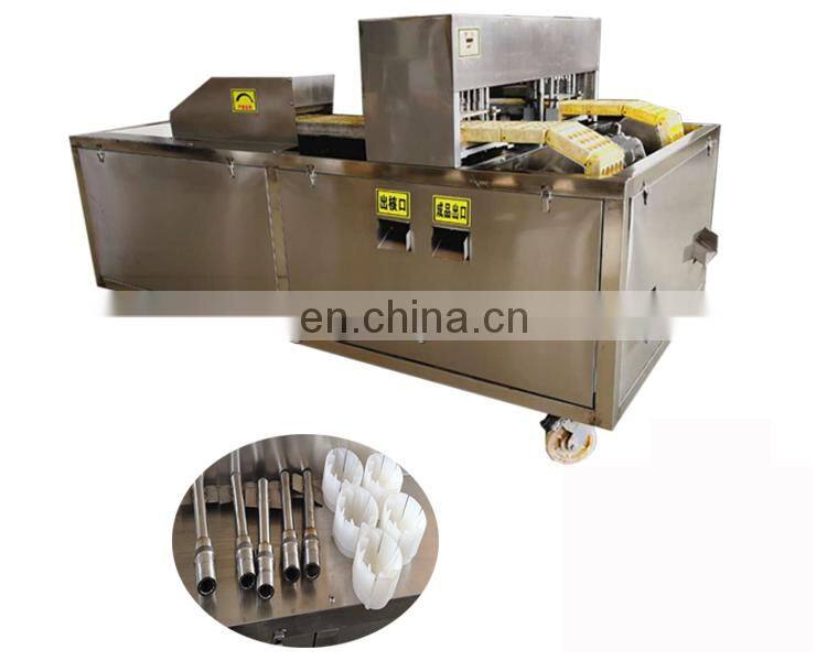 Automatic fruit stone extractor apricot and apple core removal machine.