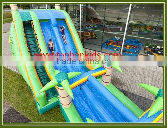 Factory supply giant inflatable water slide with pool