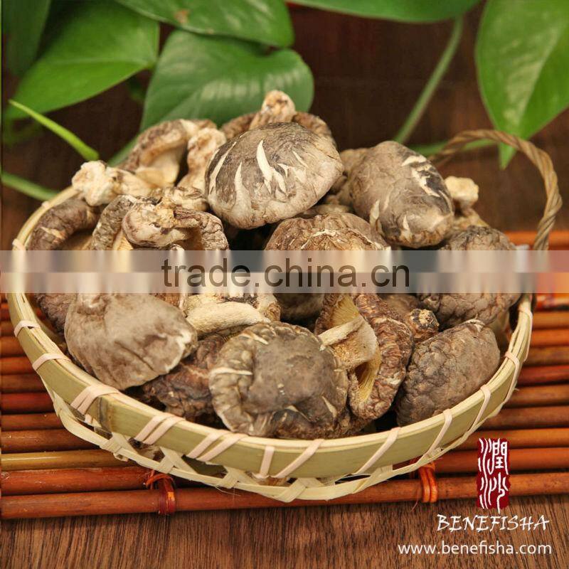 Timber Growth Dried Mushroom with Stem(Dia 3-4cm)