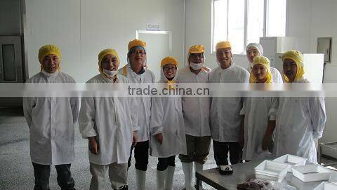 Supply frozen Spanish mackerel (scomberomorus niphonius)