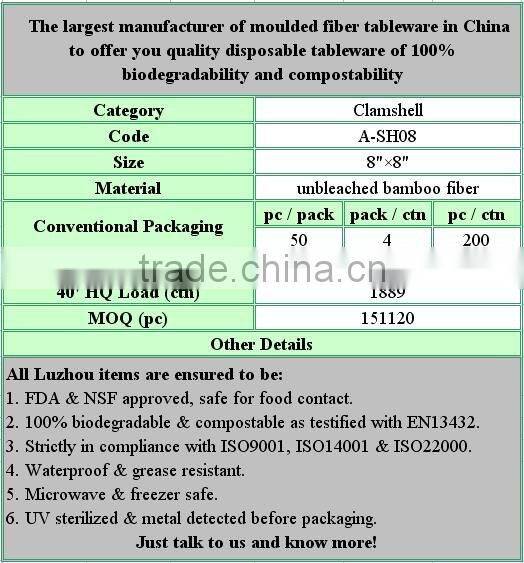 Molded bagasse pulp lunch box