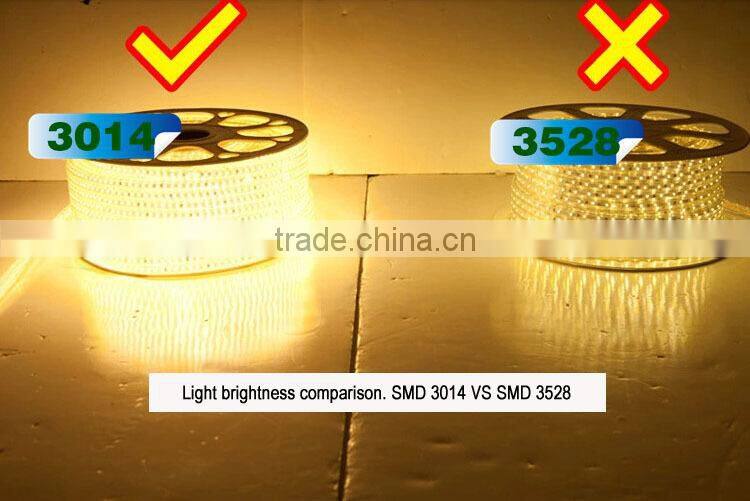 AC 220V LED Strip SMD 3014 240LED/M Warm white Waterproof IP67 100M/Roll with One Set Free AC Plug Cable Super Bright New