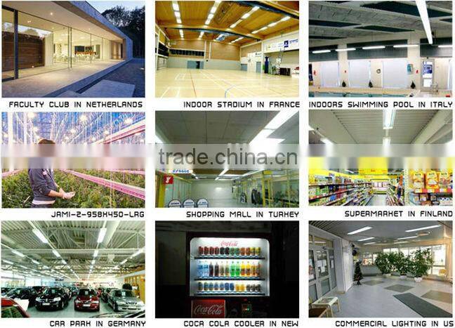 High CRI High Luminous Flux 120cm Tube 40W LED Industrial Lamp