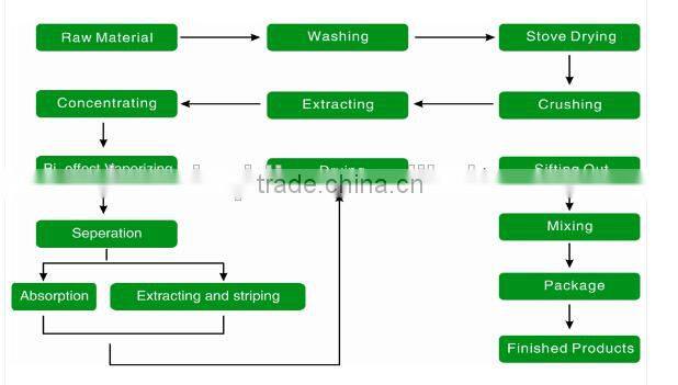 100% Natural Fresh Apple Polyphenols / Apple Polyphenols Powder / Fresh Apple Powder