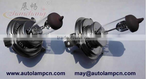 Changzhou auto bulb HS1 PX43t factory