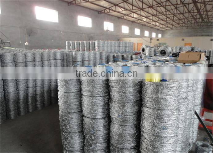 made in China galvanized & SS barbed wire fence on sale