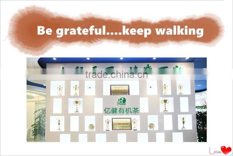 Quality guaranteed fresh Green Tea leaves organic/green tea bags bulk