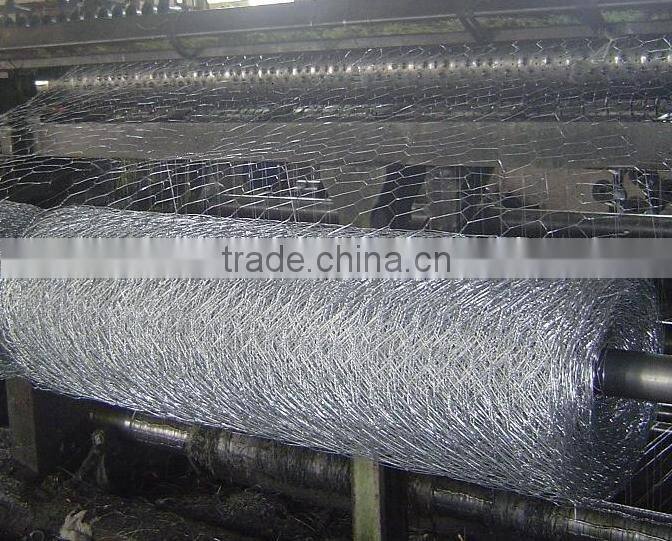 Anping Galvanized Chicken Mesh(Hot-dipped/Electro Galvanized)
