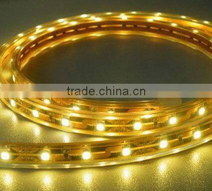 Superbright LED Strip Light 300LED 5630 5meter 12VDC