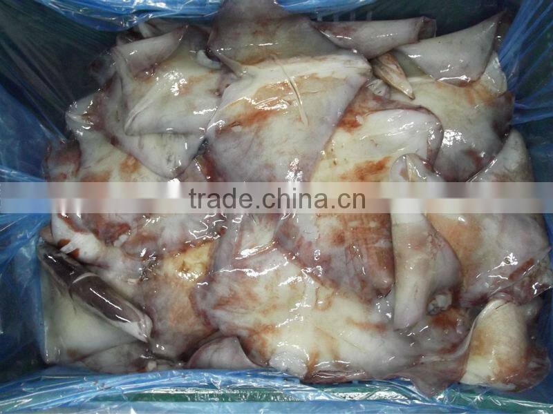 MEXICAN GIANT SQUID WINGS