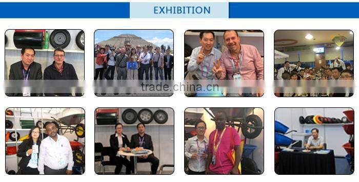 Hot Sale China High Quality Cheap Function Wheelbarrow