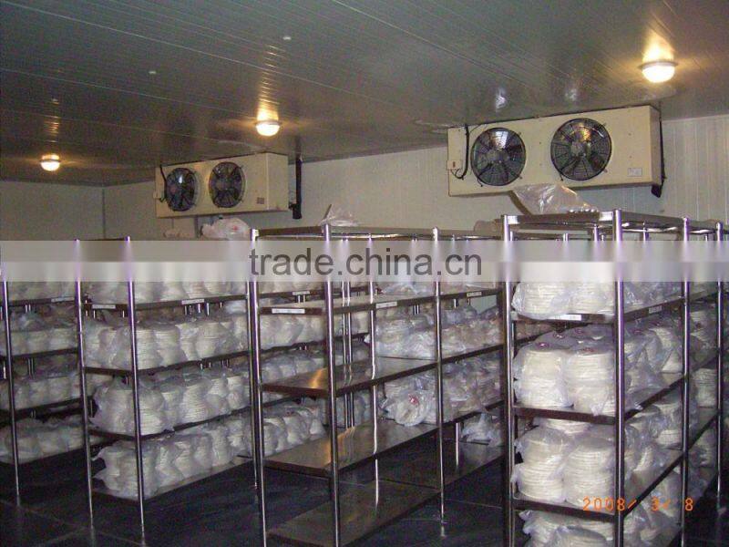 -70 to -80C Cold storage room