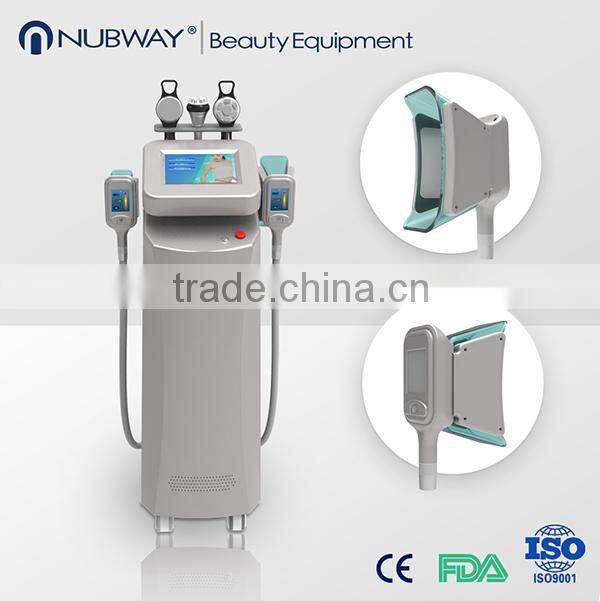 (Hot in Europe) 2015 Advanced Medical CE approved fat freezing cryolipolysis machine