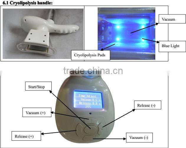 Best products cryolipolysis cool shape machine/portable cryolipolysis machine beco