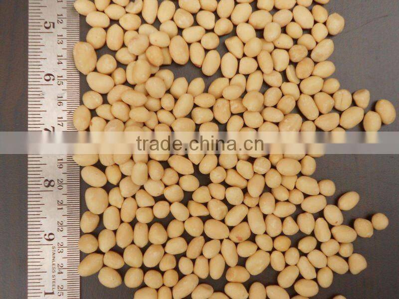 BLANCHED PEANUT 80/90