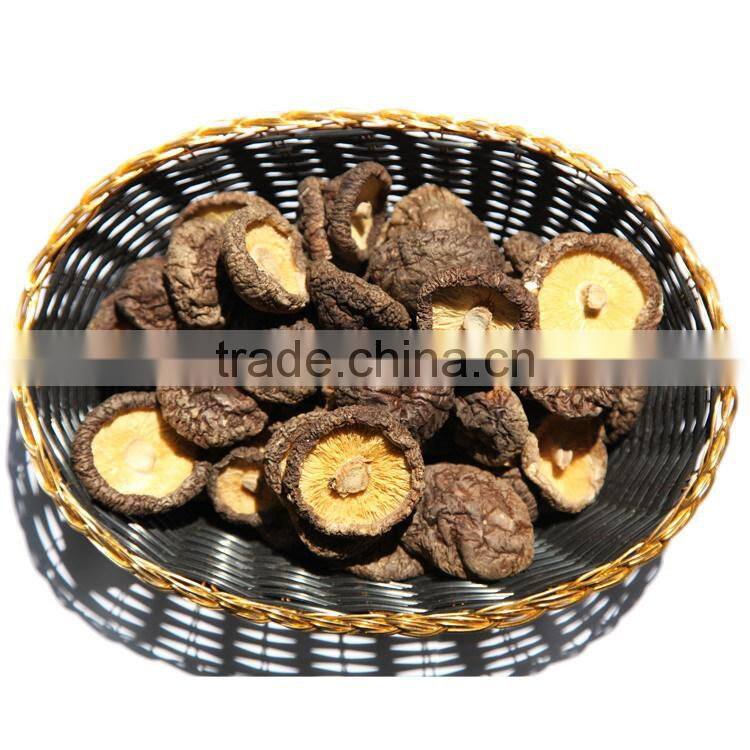 Top Quality Flower Mushroom,2015 Top Dried Shiitake Mushroom
