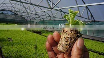 Vermiculite for gardening