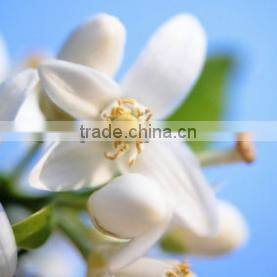 India's No. 1 Neroli Essential Oil