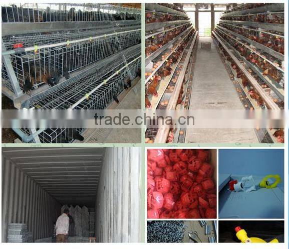 manual chicken cage with A type