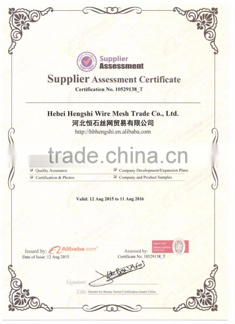 Square Wire Mesh,Galvanized mesh