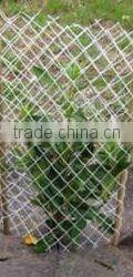 HDPE Tree Guard netting(China factory)