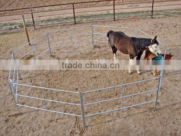 steel ranch cattle fence panels