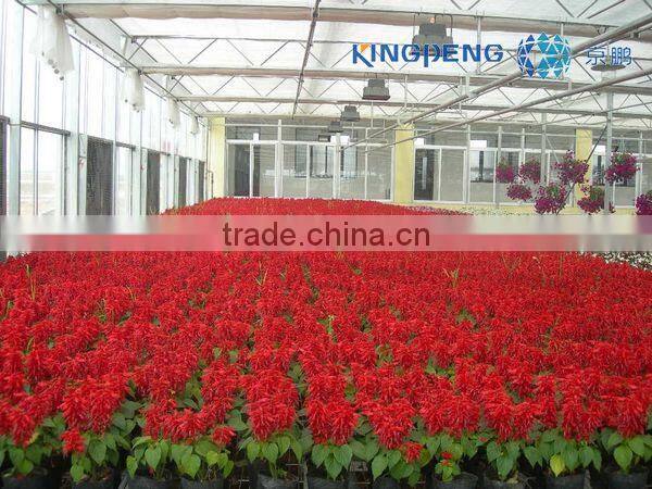 Flower Cultivation Greenhouse