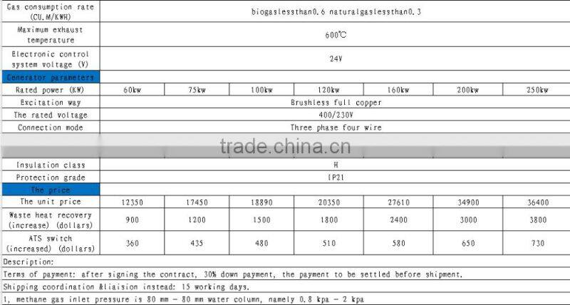 china 60-250 kw gas generator with different models