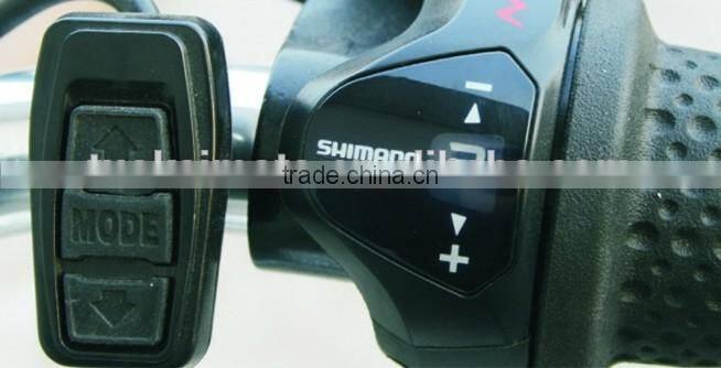 LCD meter Man power bike/250W Electric Bike with inner 3 speeds (TK-EB002A)