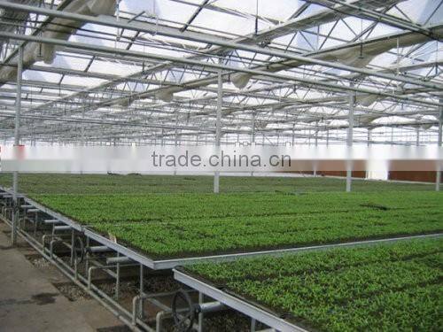 Smart glass greenhouse