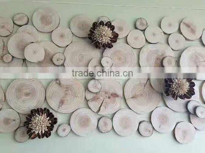 Home decorative tree slice