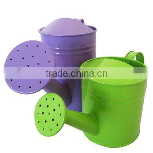5L Customized Printed Metal Watering Can
