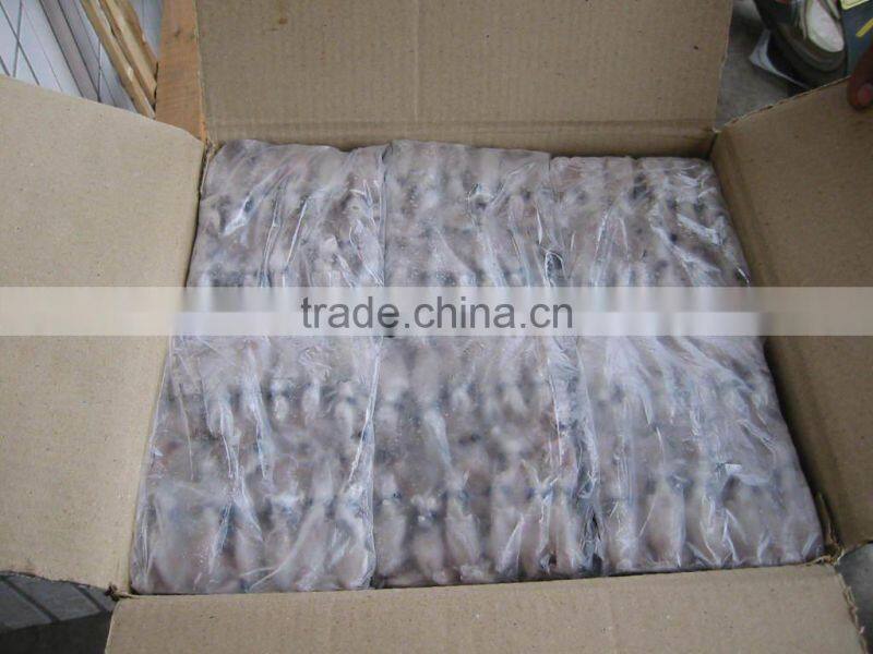 Baby Squid for sale (loligo japonica)