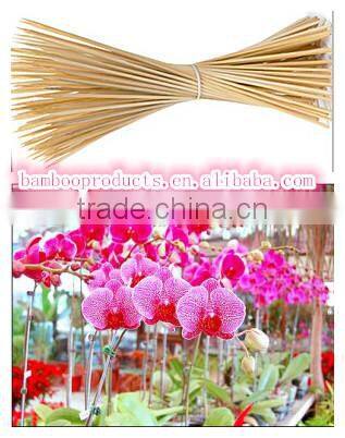 Bamboo Sticks for Sale
