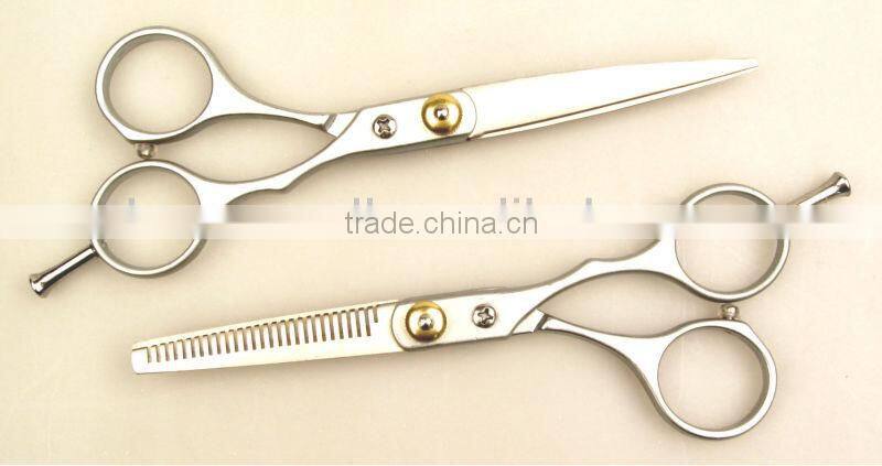 2PC Hairdesser Scissors Set