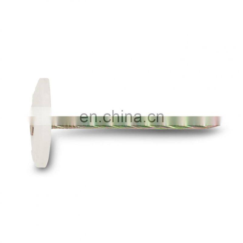 Plastic Cap Umbrella Head Roofing Nails Stainless Steel Nails With Plastic Head