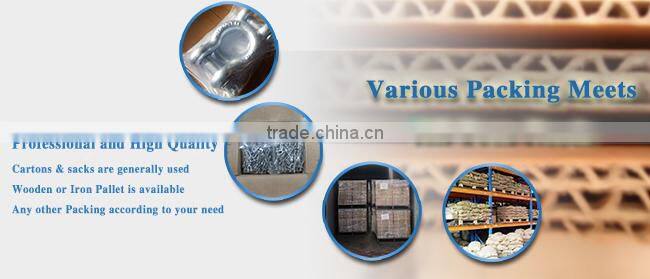 European Type Alloy Steel hammer lock Connecting Link