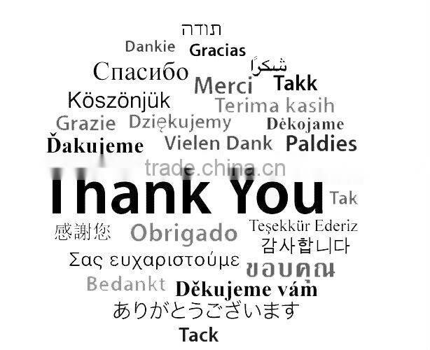 Chicken custom wind up toy