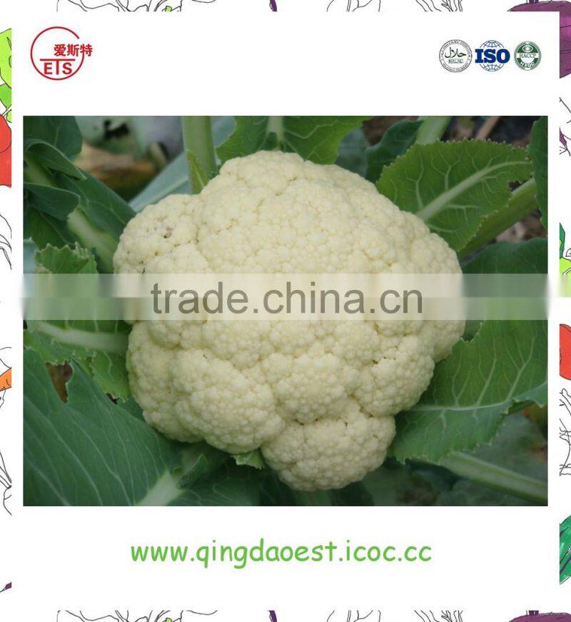 Organic green vegetables fresh cauliflower from china