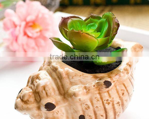 Hot-selling Artificial Conch Potted Mini Succulent Plants