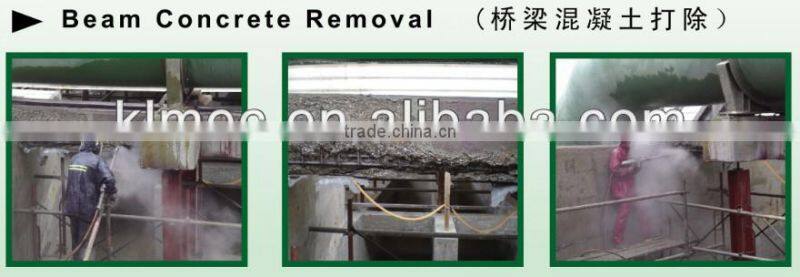 Diesel engine high pressure water cleaner
