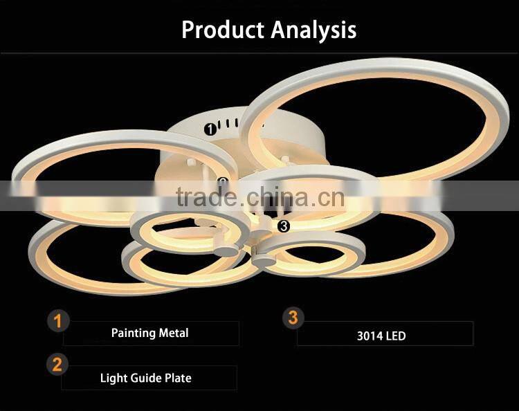 Hot Selling 100W Modern Ceiling Lights Stainless Steel 220V Simple Ceiling Lamps
