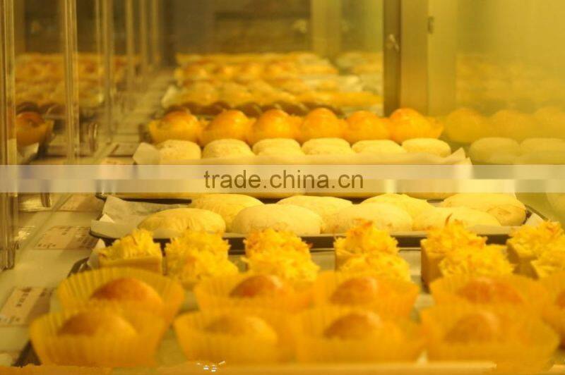 Electric Pzza Bread Cake Oven with Ceramic stone with Timer