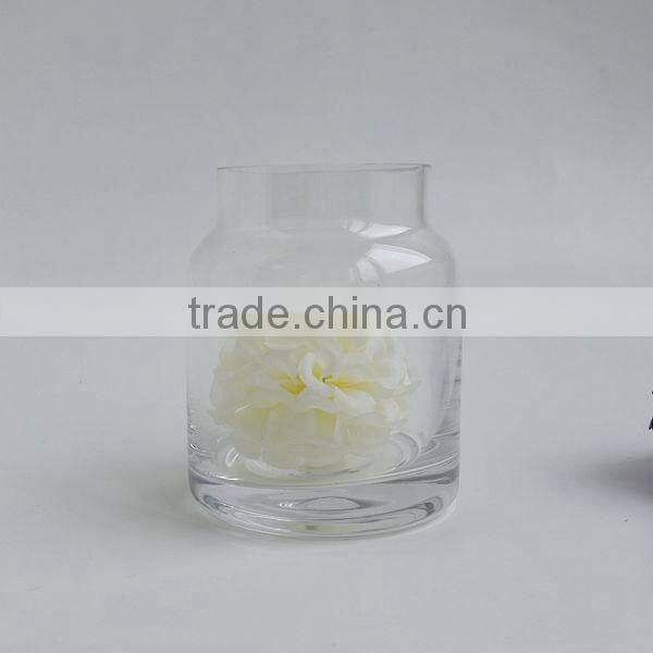 High quality handmade Glass vase for water planting
