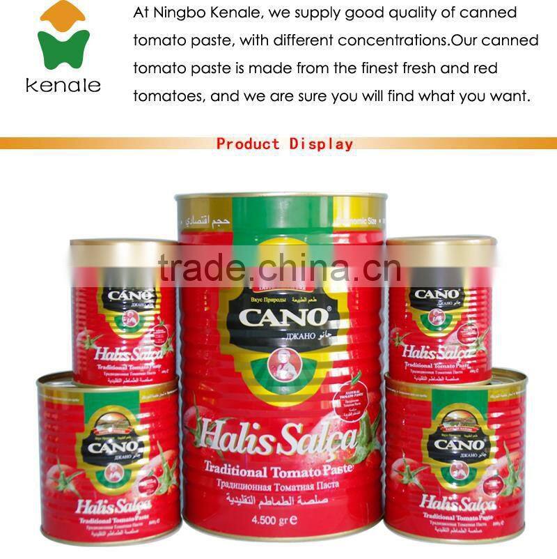 canned tomato paste 28-30% brix,tinned tomato paste 400gx24tins