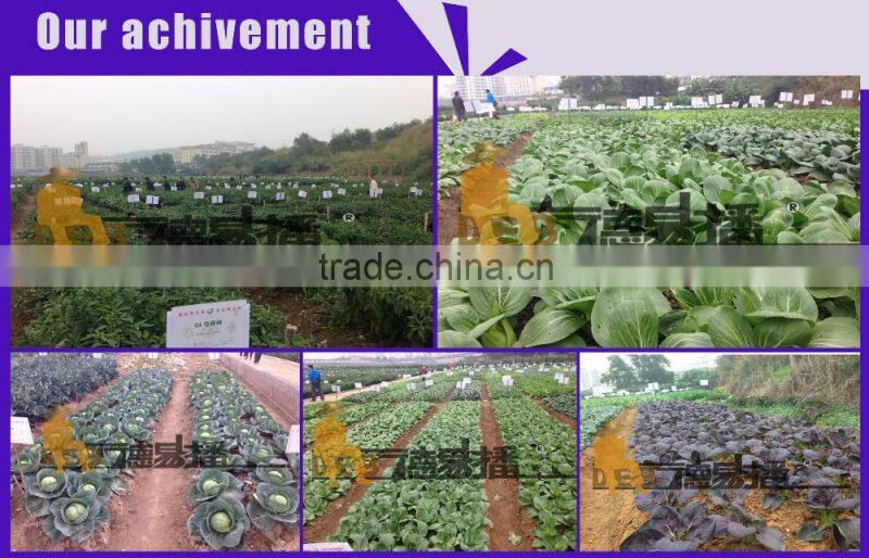 manual 2 row corn agriculture equipment planter