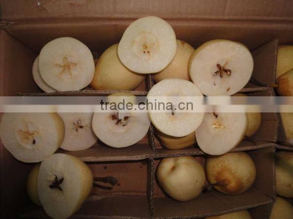 fresh ya pear&new crop&the most lowest price